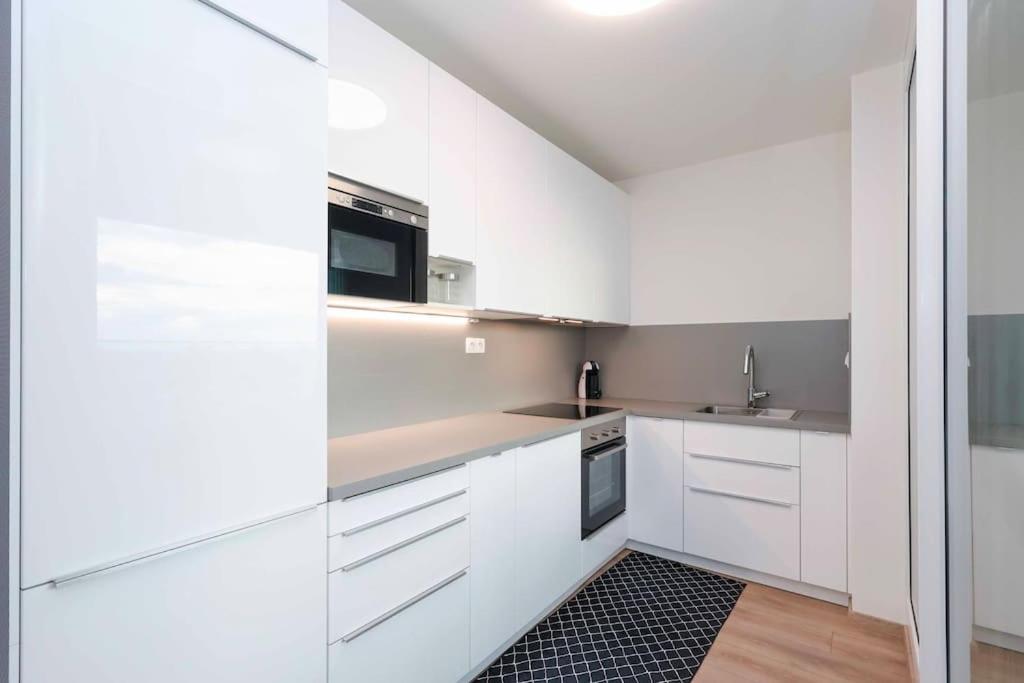Danubius One - Spacious Apartment W Free Parking 布拉迪斯拉发 外观 照片
